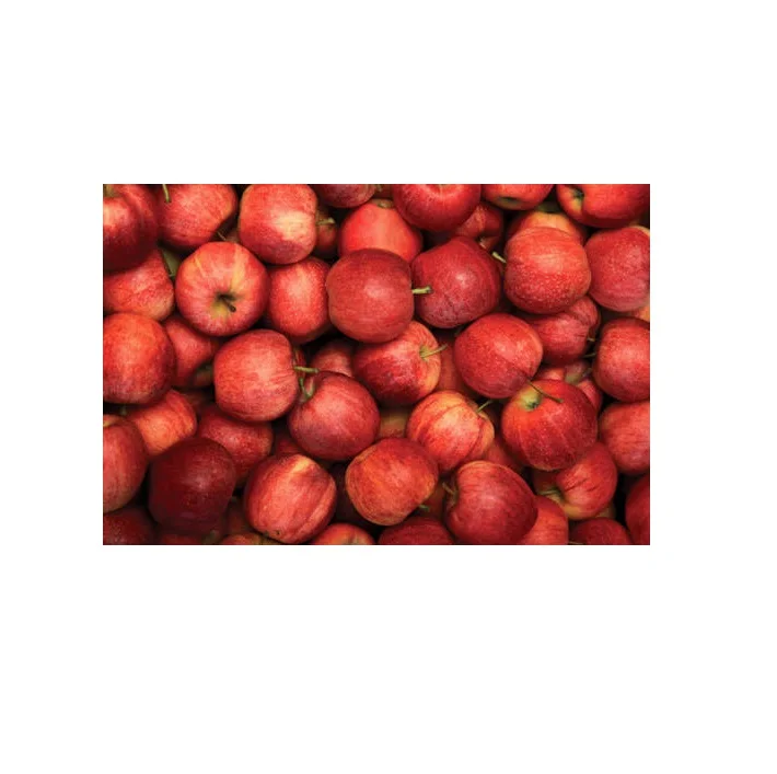 Apples1.jpg