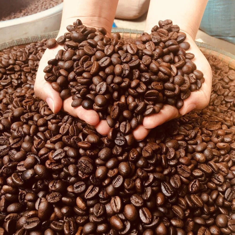 
Grains de cafe pas cher prix grand exportateur  84765149122 