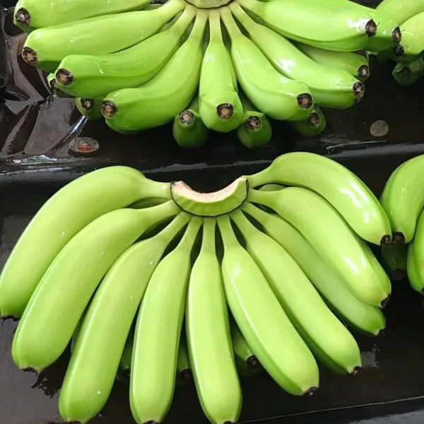 
NEW 2020 Vietnam export fresh cavendish banana price per carton box 