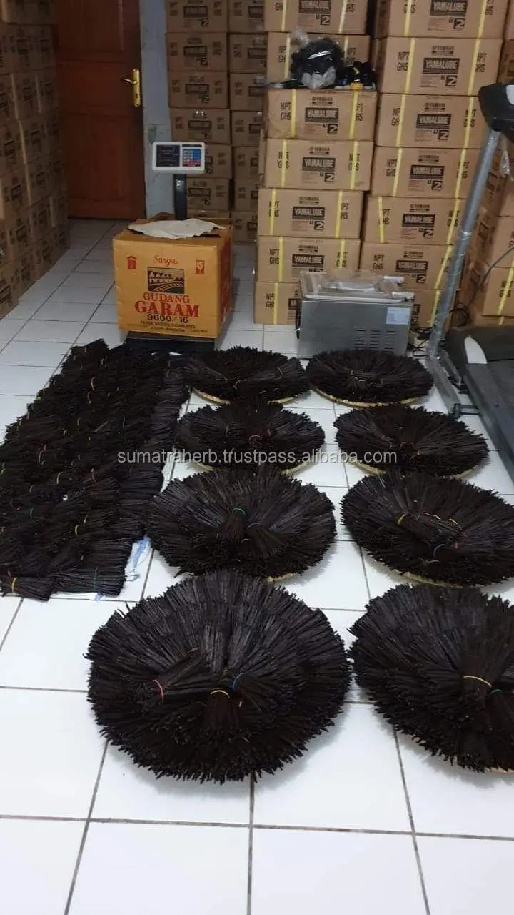 
Sumatra Supply Organic Cultivated Gourmet vanilla beans Black Vanilla Beans Farm Price 