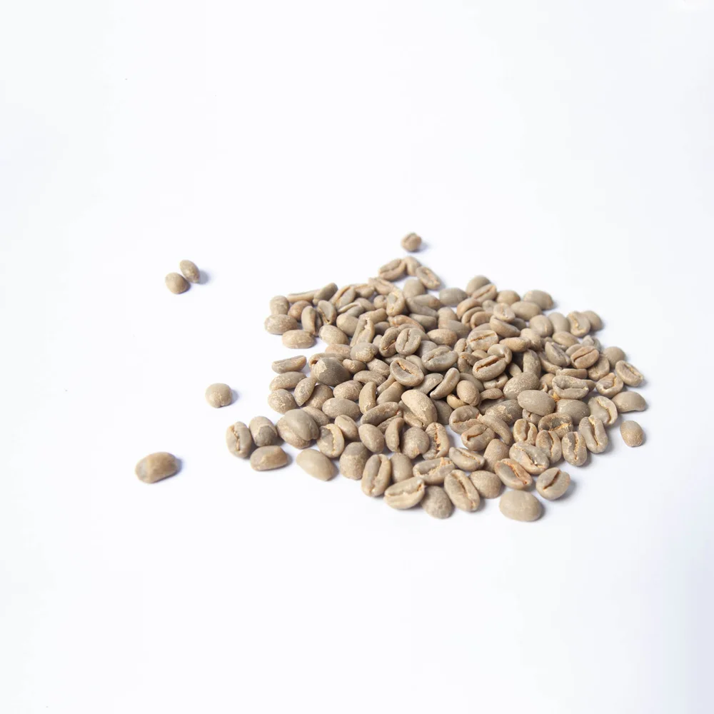 
Ethiopia Kochere HAMA G1 Washed Premium High Quality Green Coffee Bean Wholesale 
