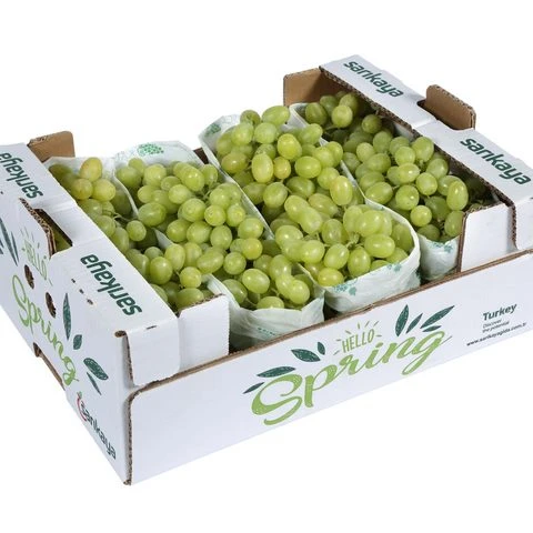 
Fresh Grape Sultani 