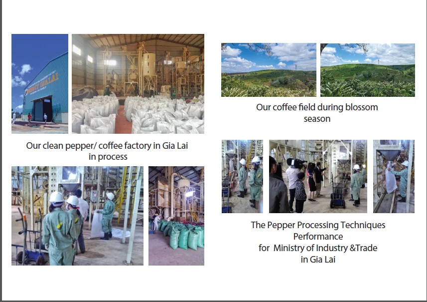 SONG HY GIA LAI CO LTD.png