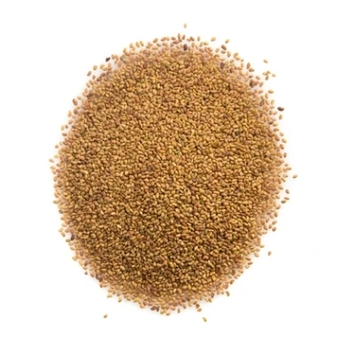 Alfalfa-Seeds.jpg