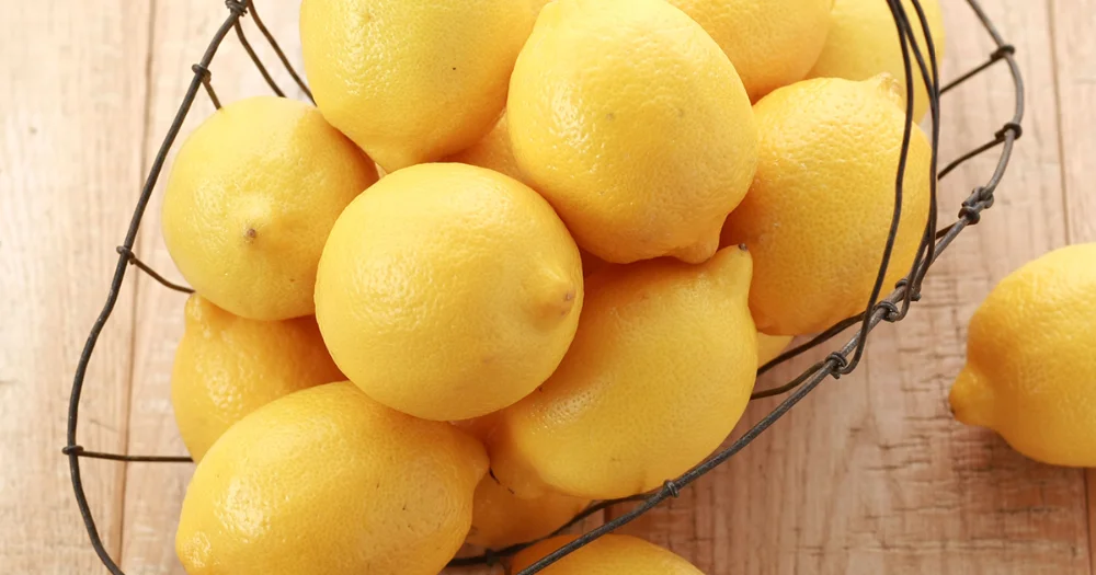 pesticide free lemon fruit powder wholesale