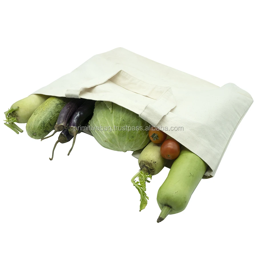 DSC08264 900 pxl.jpg