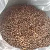 Java Robusta - Indonesia Green Coffee Bean Dampit - Also Provide Kintamani, Lintong, Java, Gayo ,Toraja ,Etc