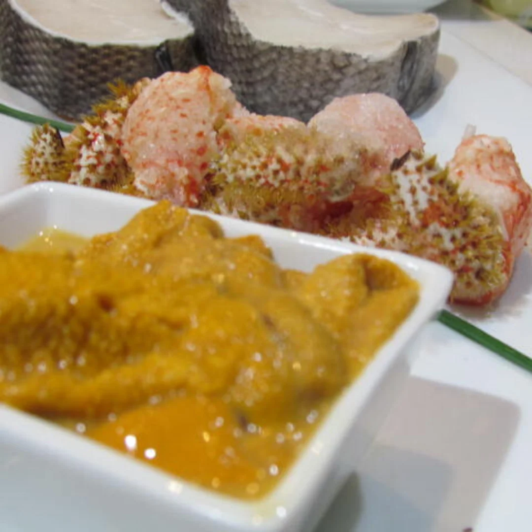 
UNI Sea Urchin 