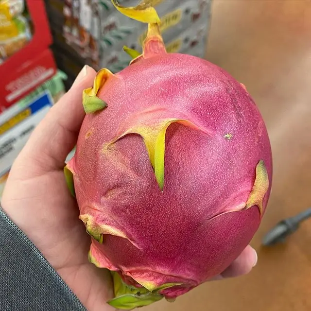 red flesh dragon fruit premium grade fresh high quality yellow