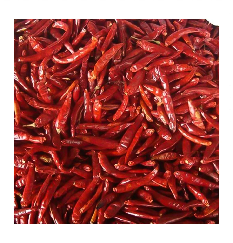 Dry Red Chilies Chili High Quality Dry Red Chilies
