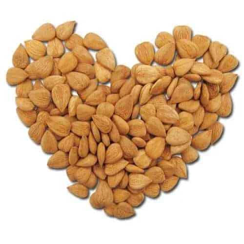 
Wild bitter almond bitter apricot kernels  (1600116611182)