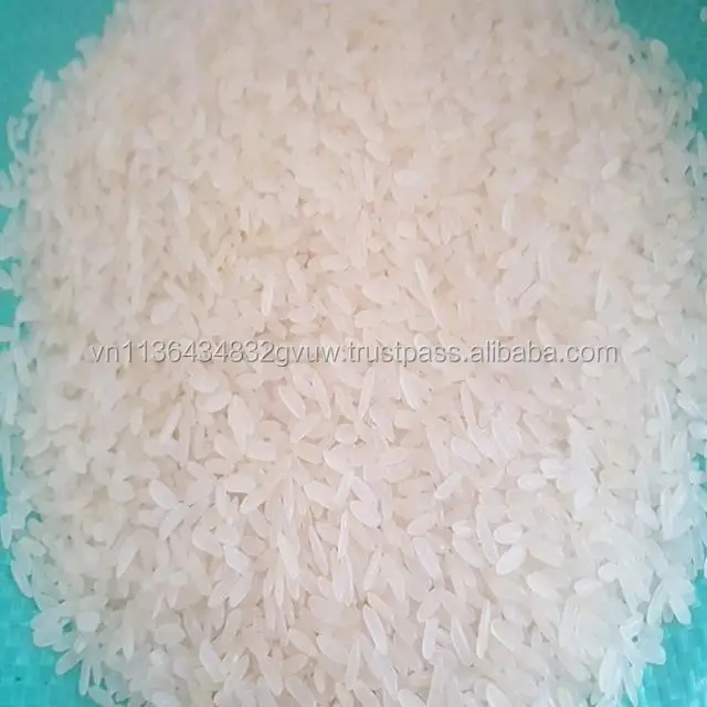 Parboiled15 (Copy).jpg