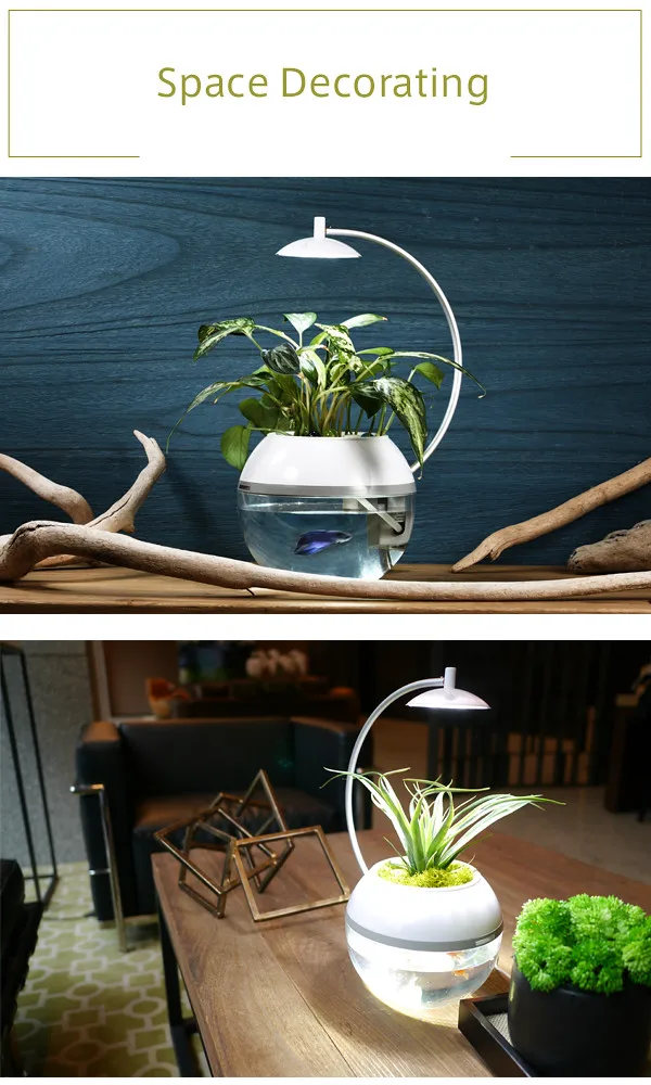 
Premium gift fish tank and herb symbiosis Herb & Fish X 