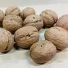 Healthy organic dried Walnuts without shell in bulk