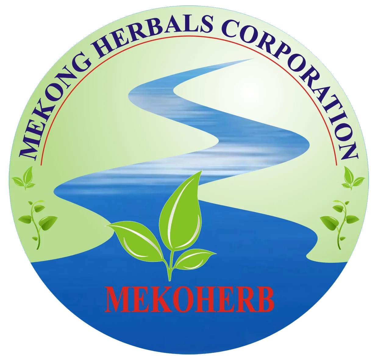 logo-mekong-FLASH