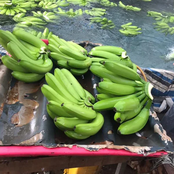 
NEW 2020 Vietnam export fresh cavendish banana price per carton box 