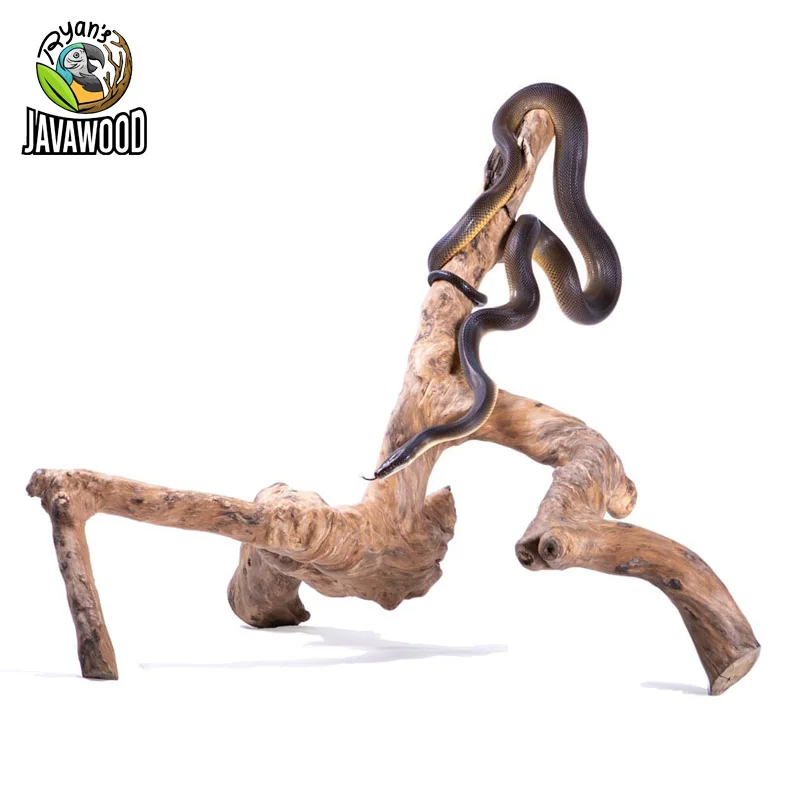 Reptile Terrarium Wooden Dish Climbing Javawood Branches For Basking Buy Reptile Wooden House