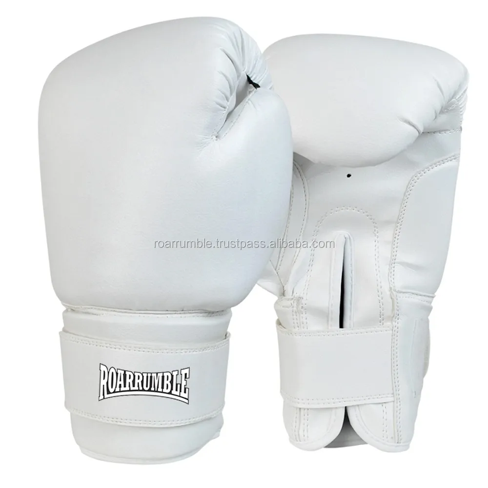 top boxing gloves 2019