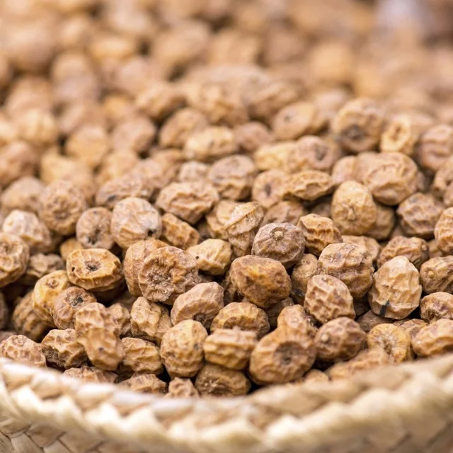 TIGER-NUTS.jpg_640x640.jpg