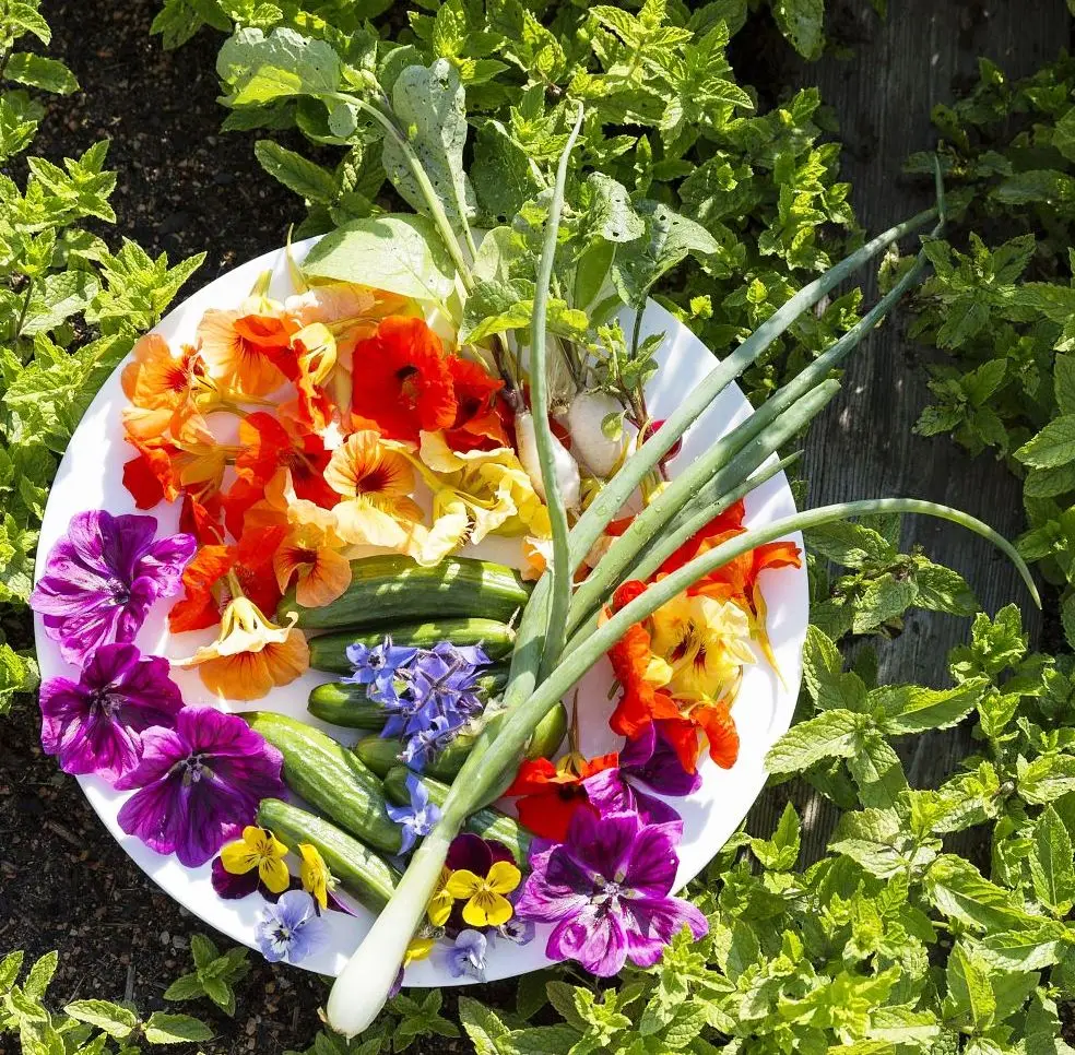 Pink Kush Herbal Blend.jpg