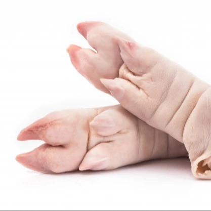 Pork1.jpg
