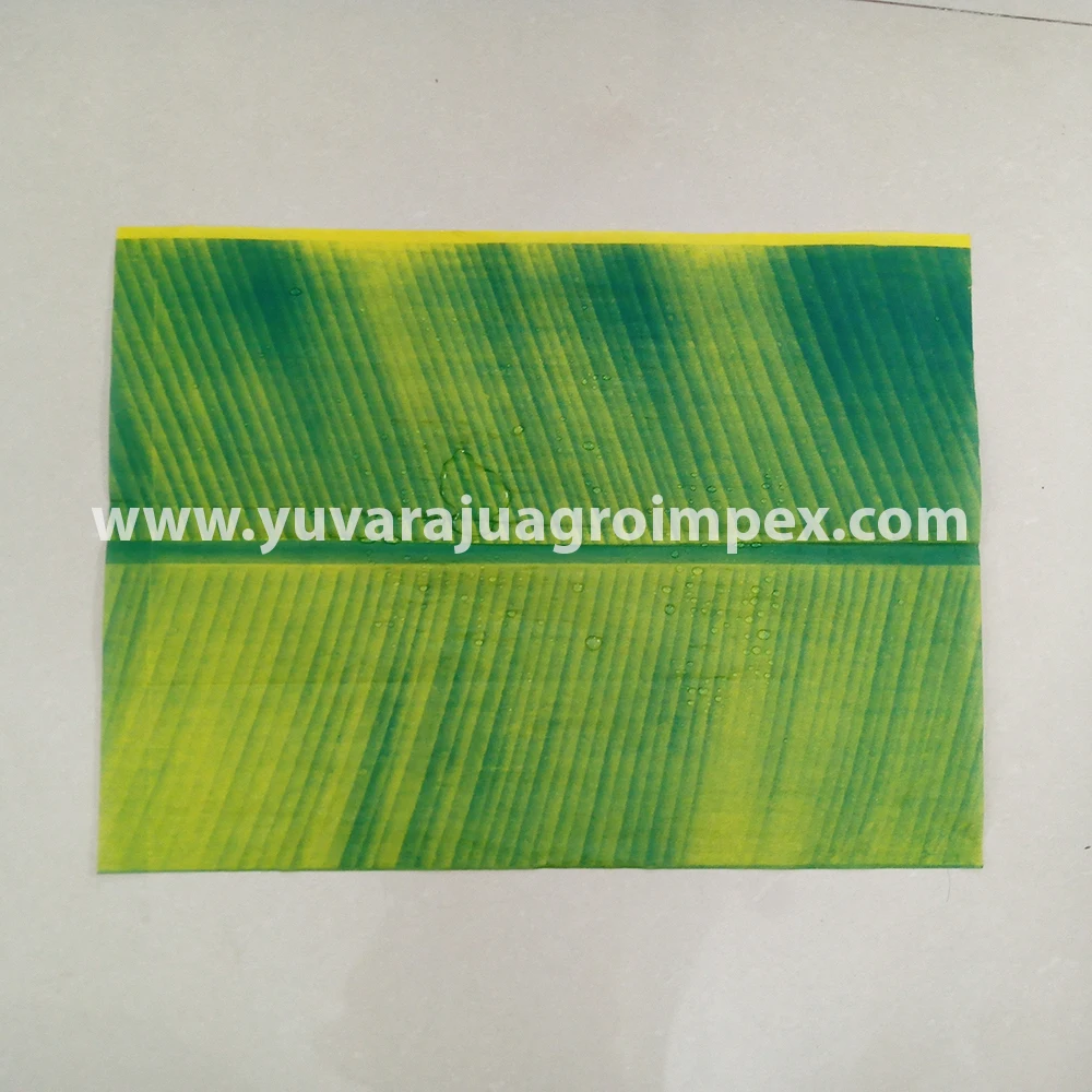 Eco Product Of Indian Paper Leaf Buy Low Cast & Best Price Of Banana