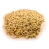 Barley seeds / organic price russian grain feed animals seeds Barley