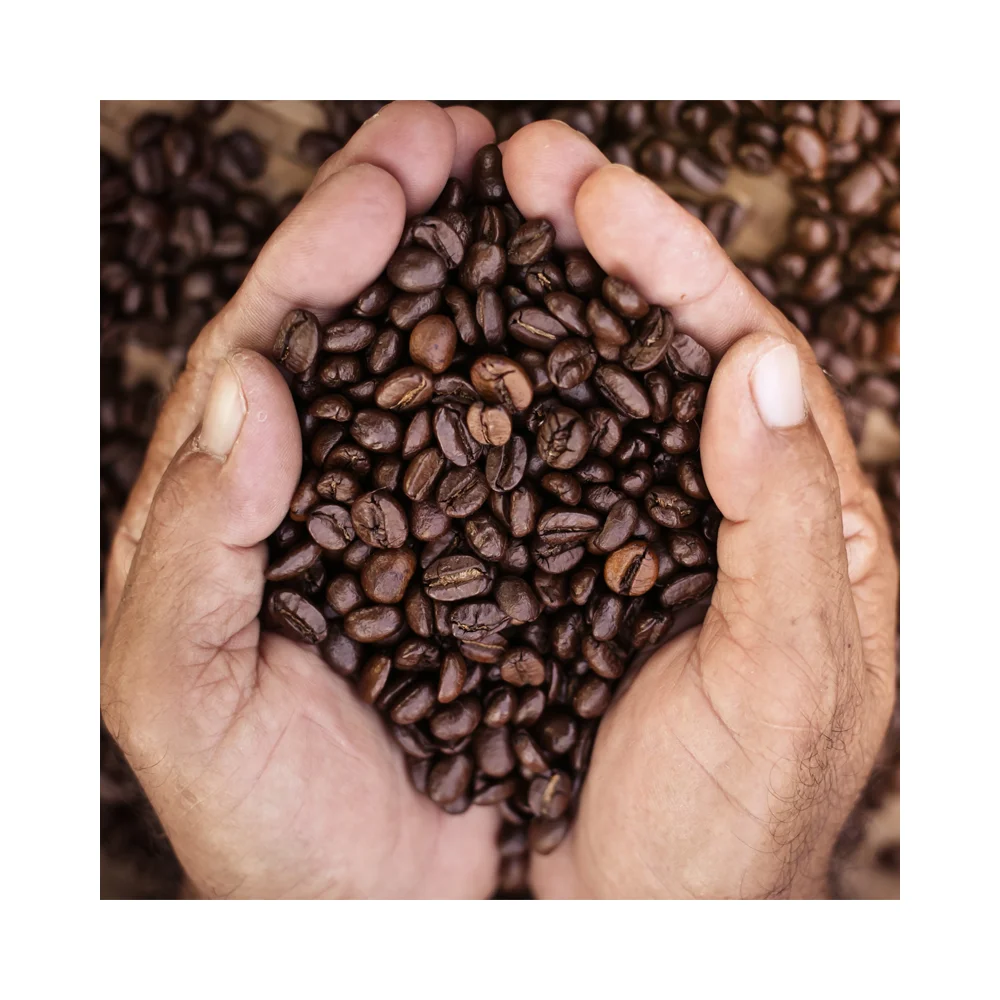 
Wholesale Vietnamese Manufacturer High Quality Robusta Coffee Bean 