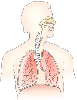 
Anti-Cancer Organic Ayurvedic Herbal Medicine - Suitable for all types of Cancers, Very effective in early 1st & 2nd Stages 