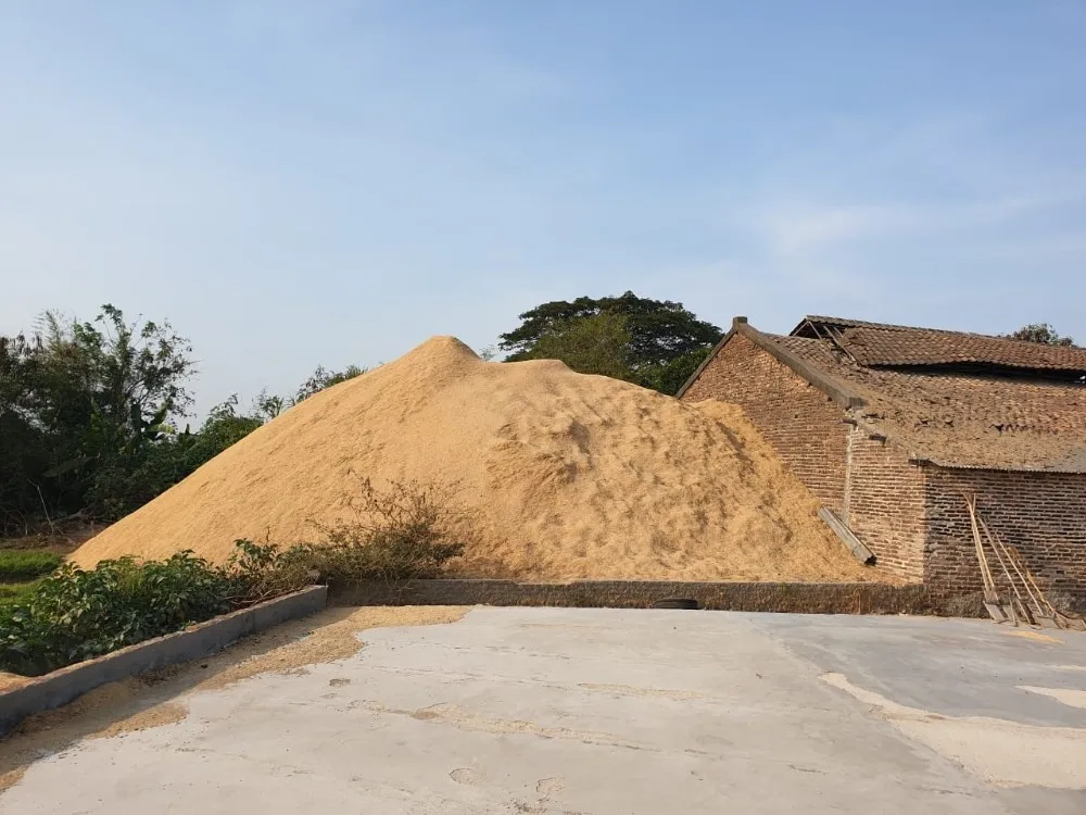 Raw Material Rice Husk Export Quality For Wholesale Buy Rice Husk