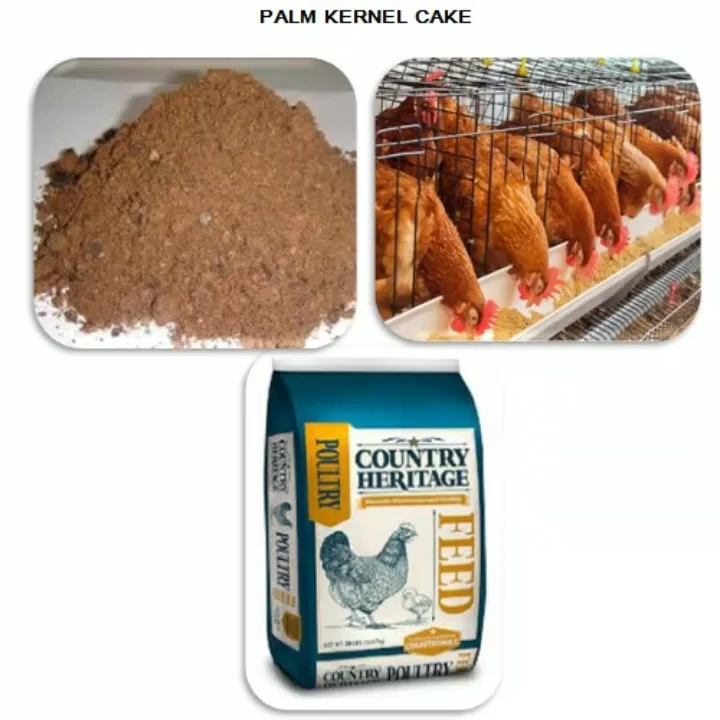 Top 2020 Layer Chicken Animal Feed Soya Bean Feed Pke/pkc Palm Kernel