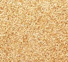 
Golden Sesame Seeds Natural Sesame Seeds 99 % Purity 2020 