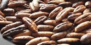 
CAFE NOYAUX DE DATTES BIO 300 GR / coffee date pits BIO 300 GR 