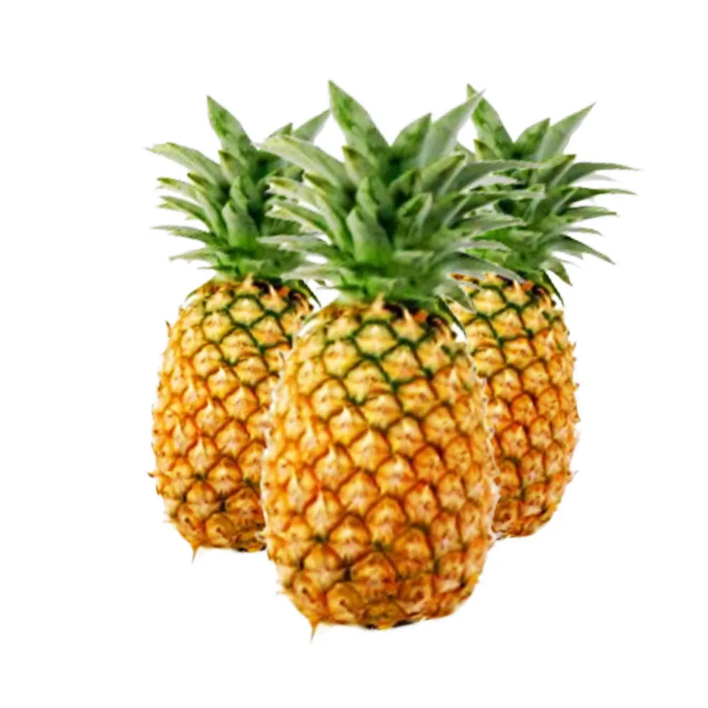 wholesale fresh pineapple / pineapple fruit price / bulk fresh