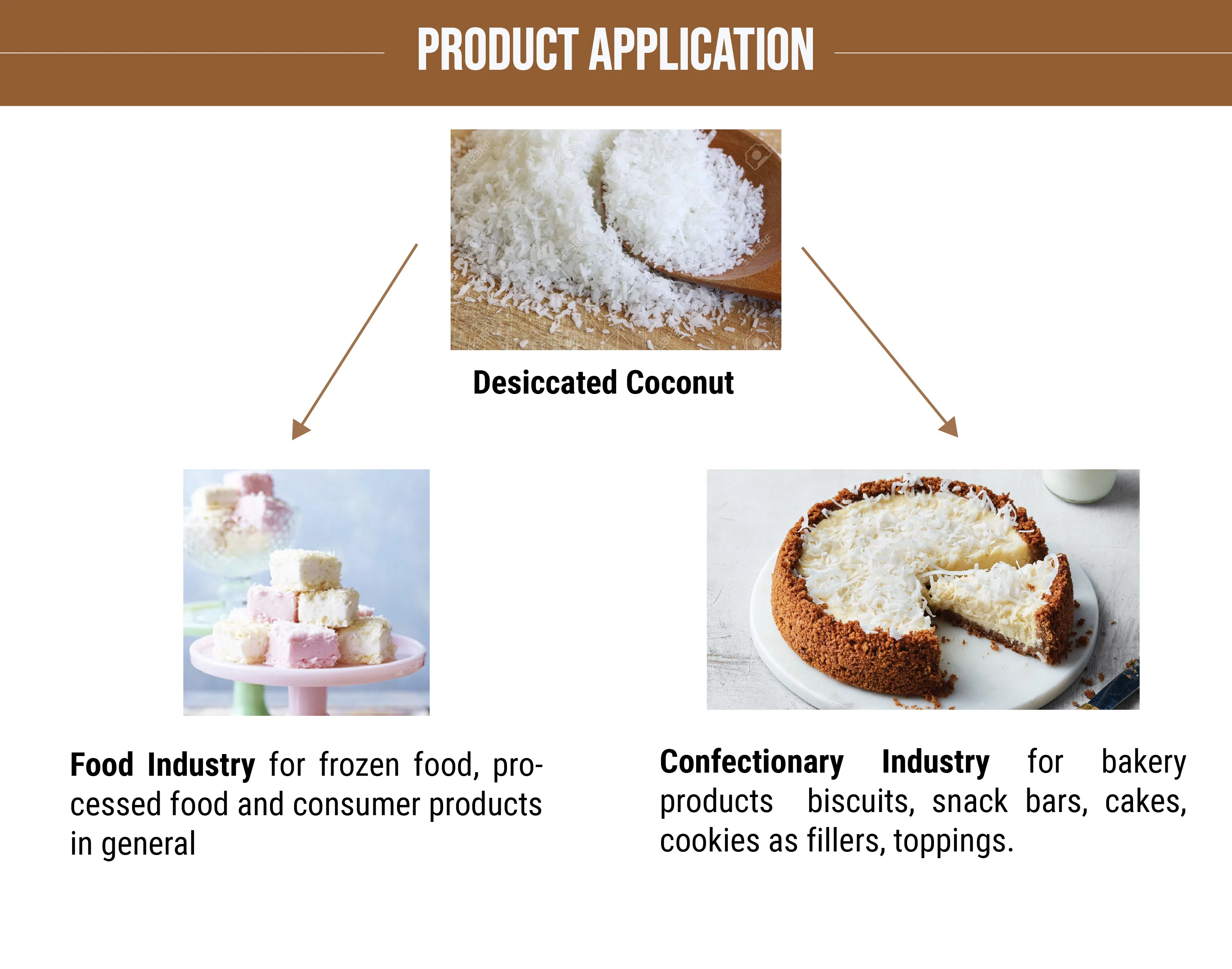Desiccated Organic Dried Low Price/ Coconut Powder Coconut Standard