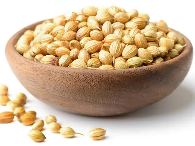 coriander seed coriander high quality best quality coriander
