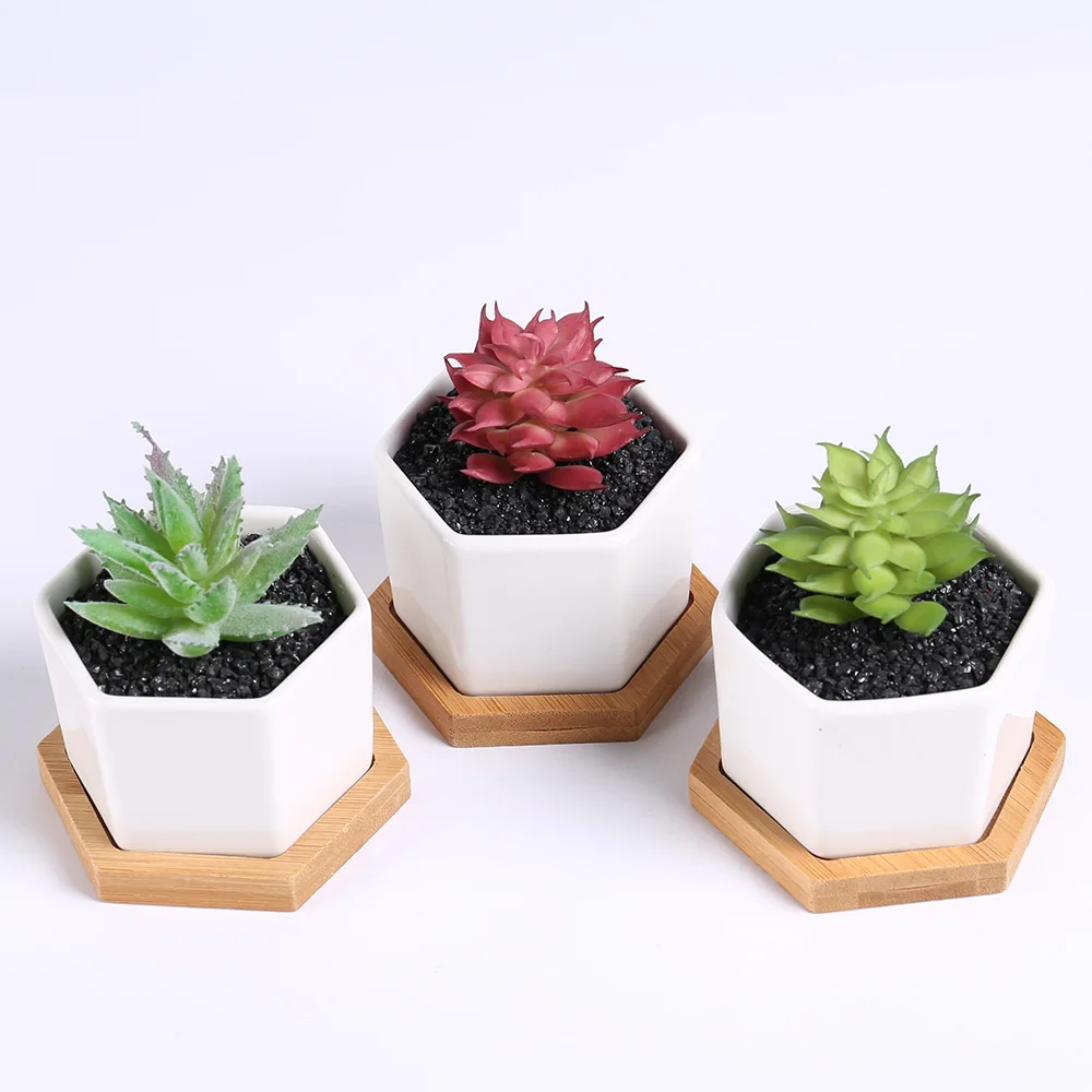 

Hot sale hexagon shaped white ceramic mini plant pot for succulent plants