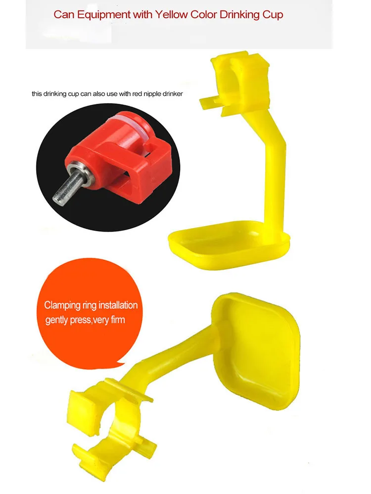 description-2.jpg