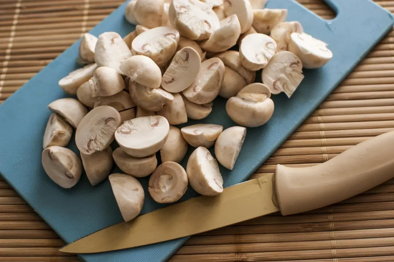 mushroom65.jpeg