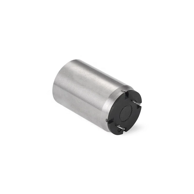 16Mm Permanent Magnet 3V Dc Micro Motor For Robots And Medical Pump