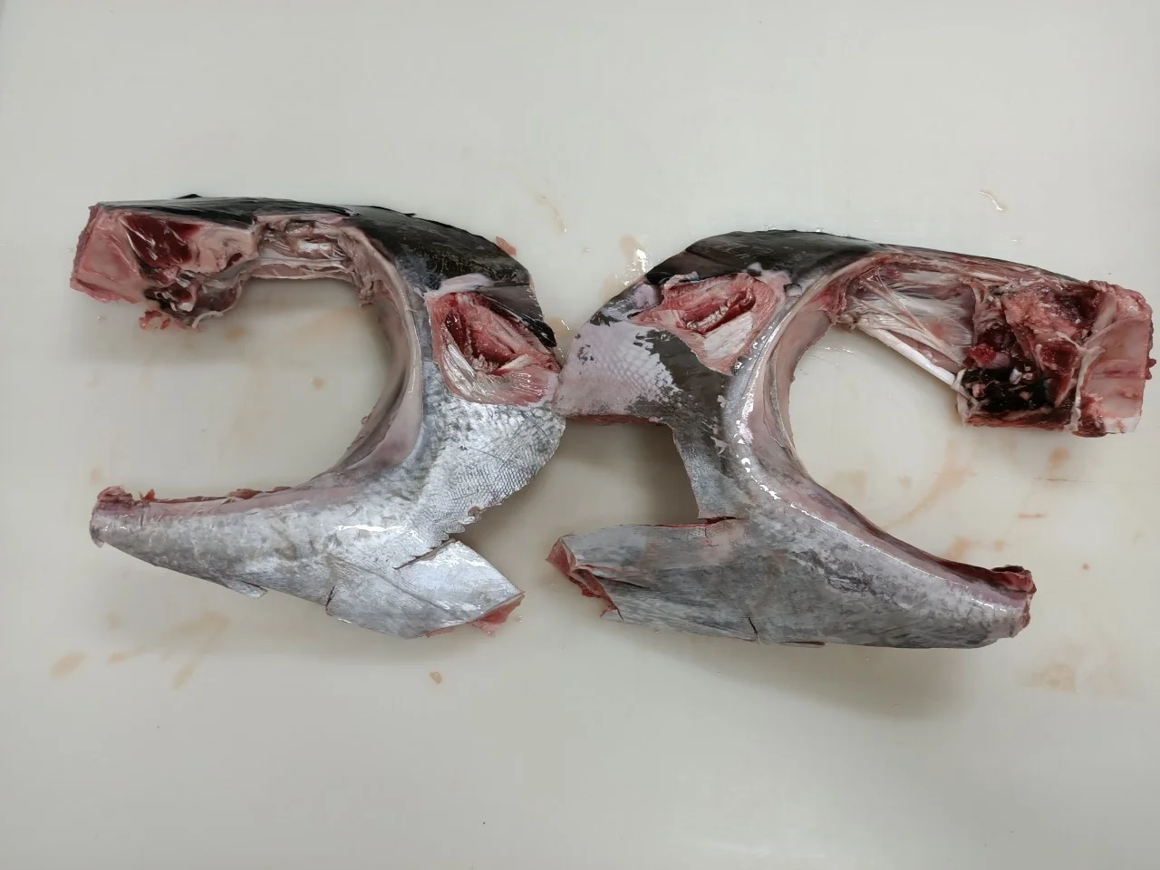 
Wholesale IQF yellowfin frozen Tuna Jaw for BBQ 