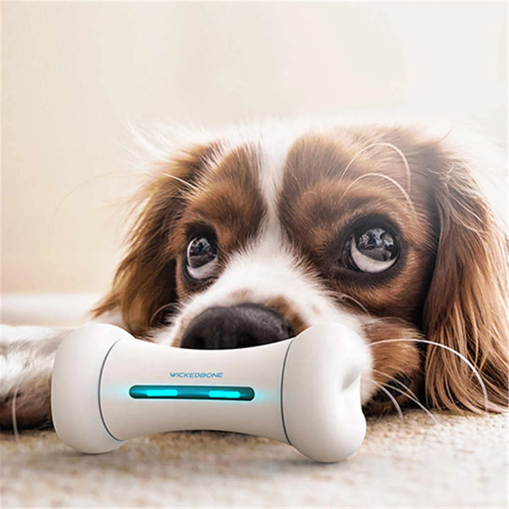 

Wickedbone Intelligent Smart & Interactive Dog Chasing Bone Phone Controlled Electric Pet Toy, White, blue, light green, pink, light blue