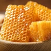 Natural honey with comb - honey comb