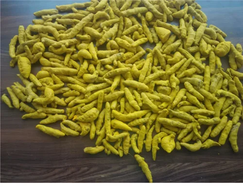 
Best Natural Dry and Raw Turmeric fingers High Quality From India 