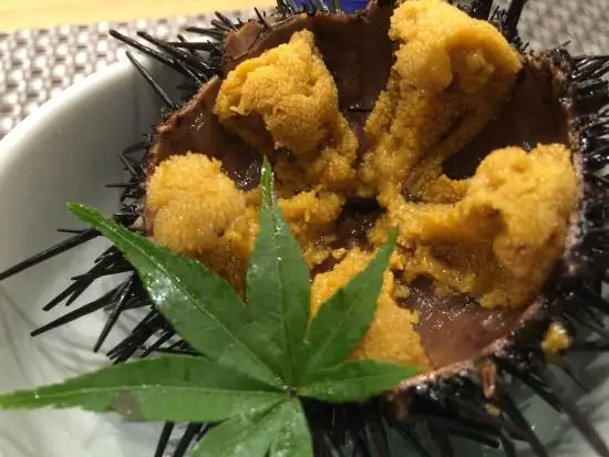 
NUTRITIOUS SEA URCHIN UNI COMPETITIVE PRICE 