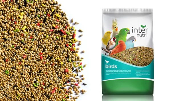 exotic bird food