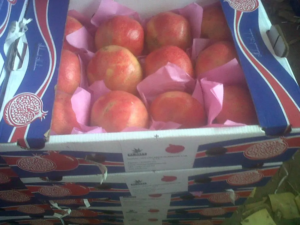 
Fresh Pomegranate ready to export to Algeria 