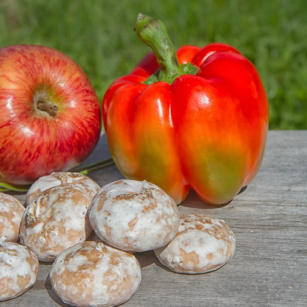 russian cranberry sweet gingerbread confectionary biscuit