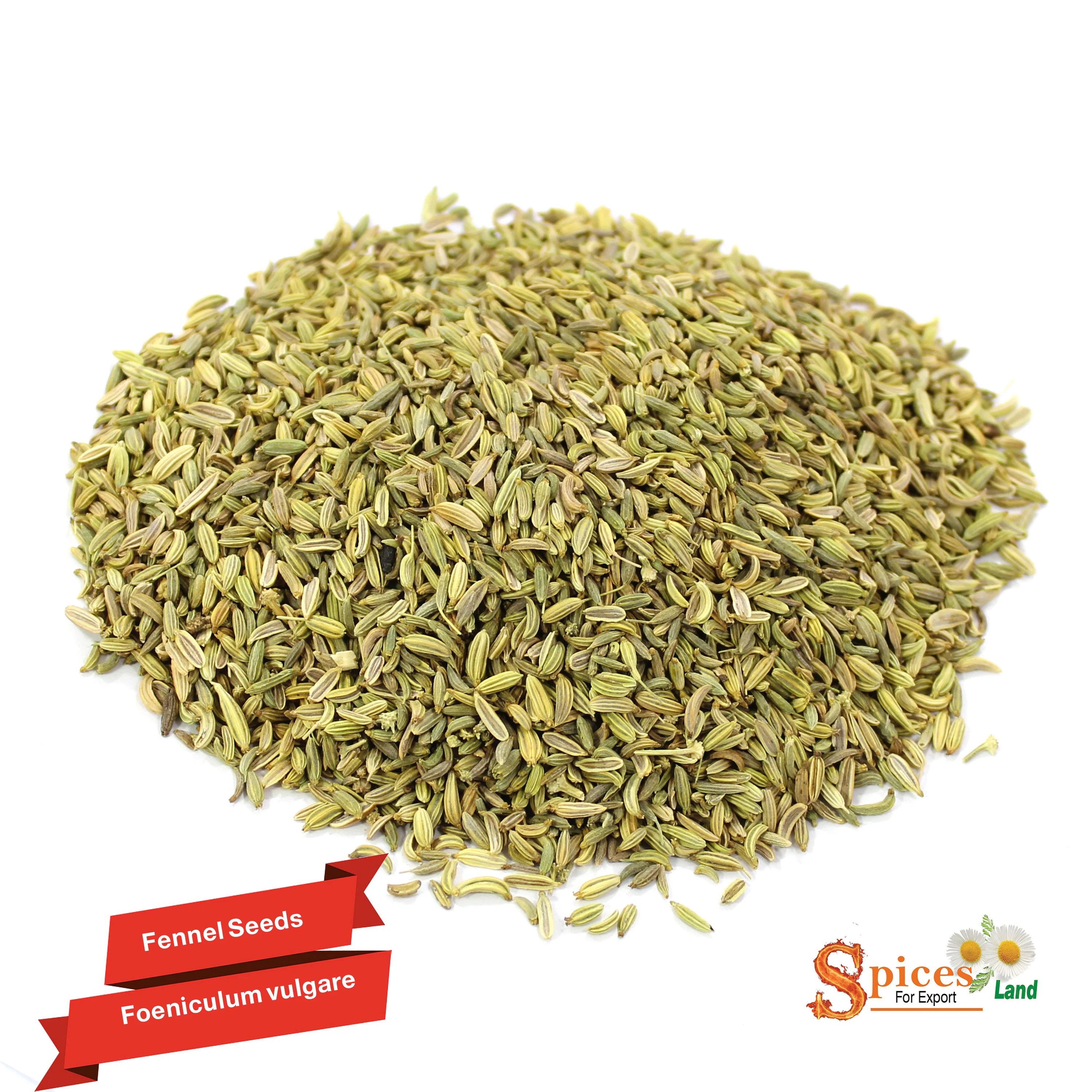 
Fennel Seed High Quality Top Grade Manufacturer Wholesale -BEST QUALITY, BEST PRICES (SPICES LAND FOR EXPORT) 