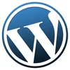 Wordpress Custom Module Development Service In Australia